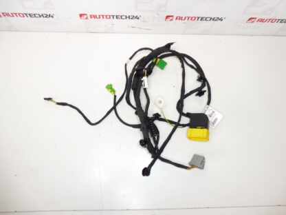 Imbracatura sedile passeggero Peugeot 308 4424698AF 6509W2