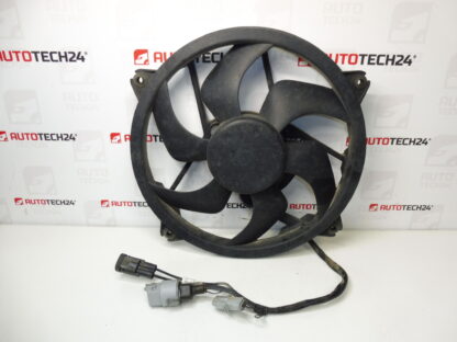 Ventola di raffreddamento motore Citroën Peugeot 1253N8 1253L6 1253T3