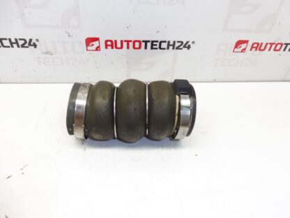 Manicotto 1.6 e-HDI Citroën Peugeot 9685598580 9686523980 9685598280 0382PJ