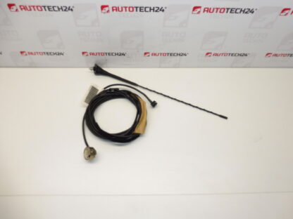 Antenna completa Citroën Xsara Picasso 9658881880 6561A0 6561EF 6561A1