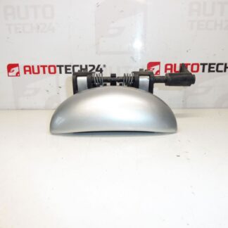 Maniglia porta posteriore sinistra Peugeot 206 EZRC 9101N8