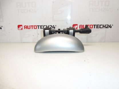 Maniglia porta posteriore sinistra Peugeot 206 EZRC 9101N8