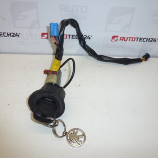 Scatola interruttori + 1 chiave Peugeot 206 4162Z1